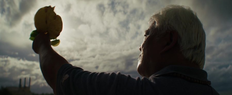 A man raises a flower to a cloudy sky