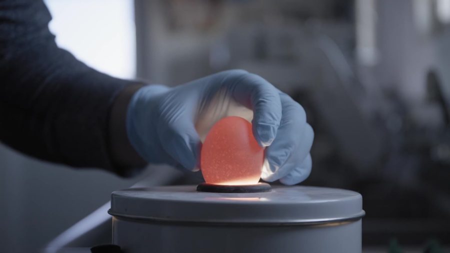 A gloved hand holds an egg over a glowing light